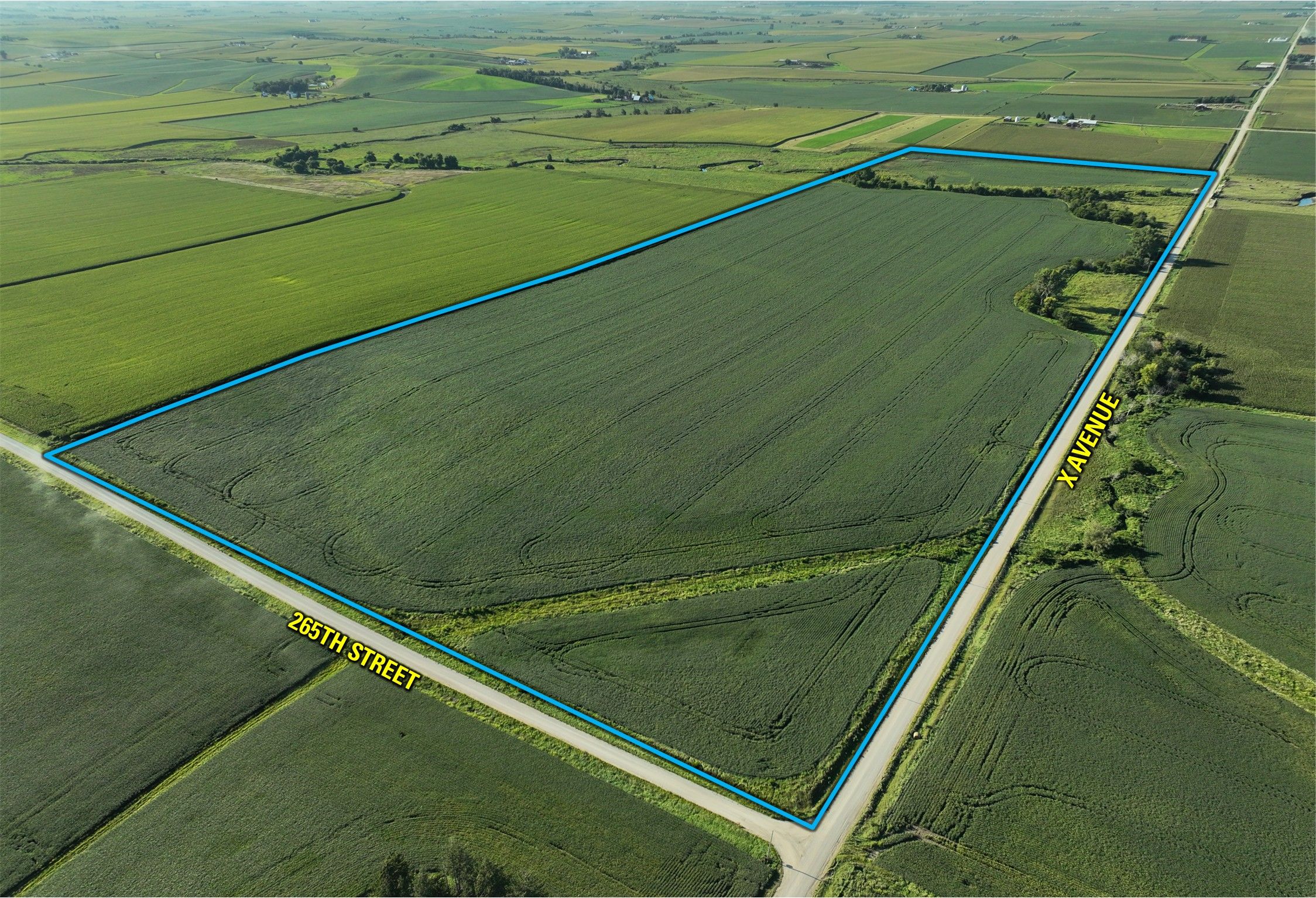 Listing Photo: Aerial Southeast Corner